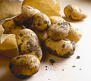 Frühkartoffeln: aus dem Boden auf die Teller