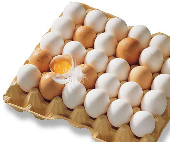 Le bon stockage des œufs