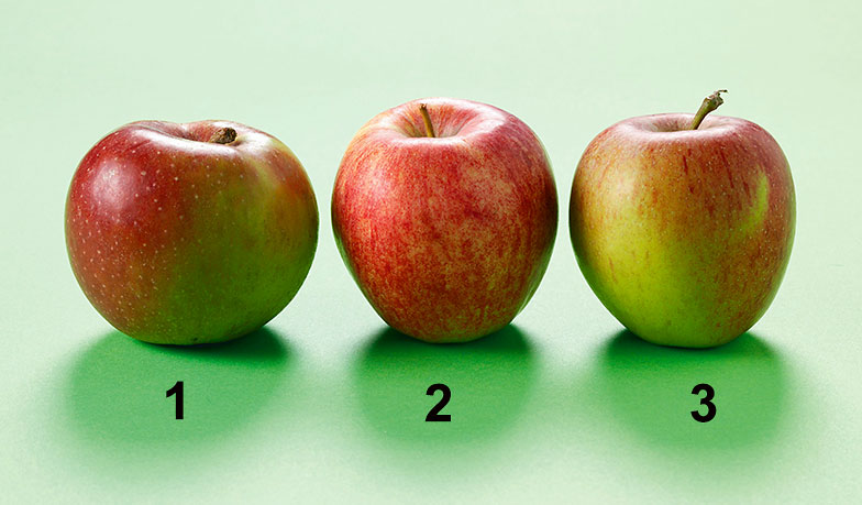 <b>Beliebte Schweizer Äpfel:</b> Boskoop (1), Gala (2), Braeburn (3).
